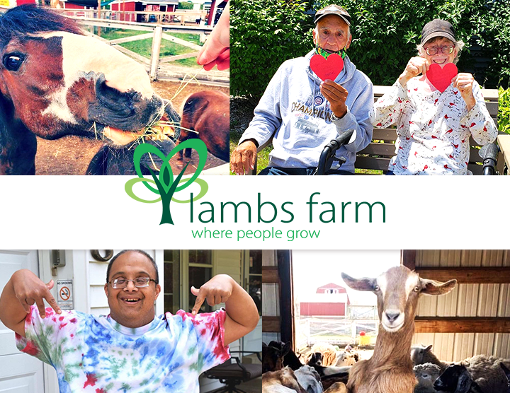 Recycle for a Reason: Lambs Farm