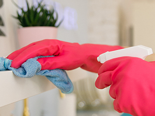 Cleaning Tips from Large Organizations